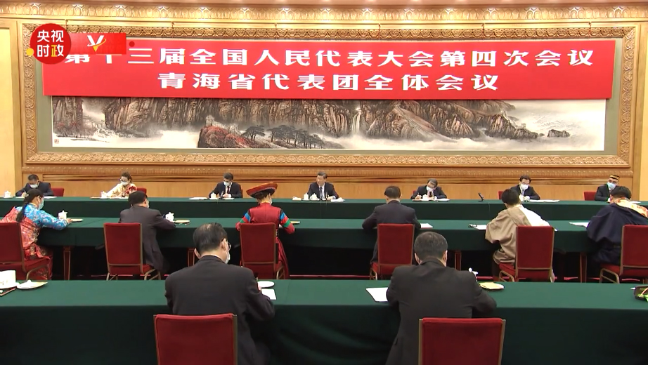 習總書記參加青海代表團審議