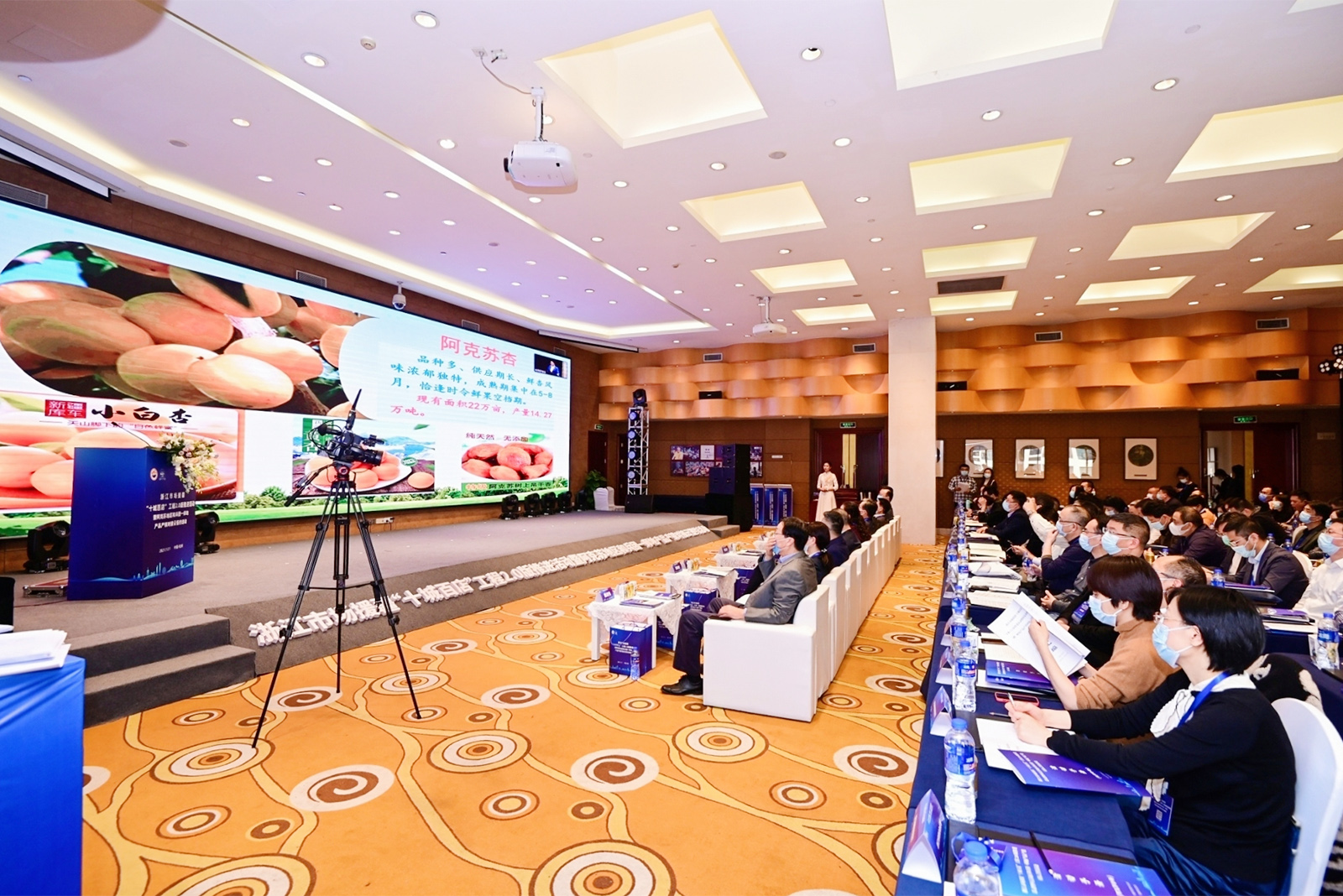 兩地云簽約活動——PPT大屏演示+演講嘉賓鏡頭直播