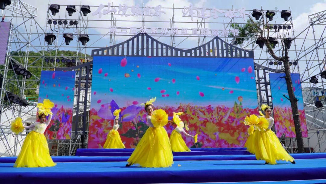 張家界網紅直播旅游節開幕式演出