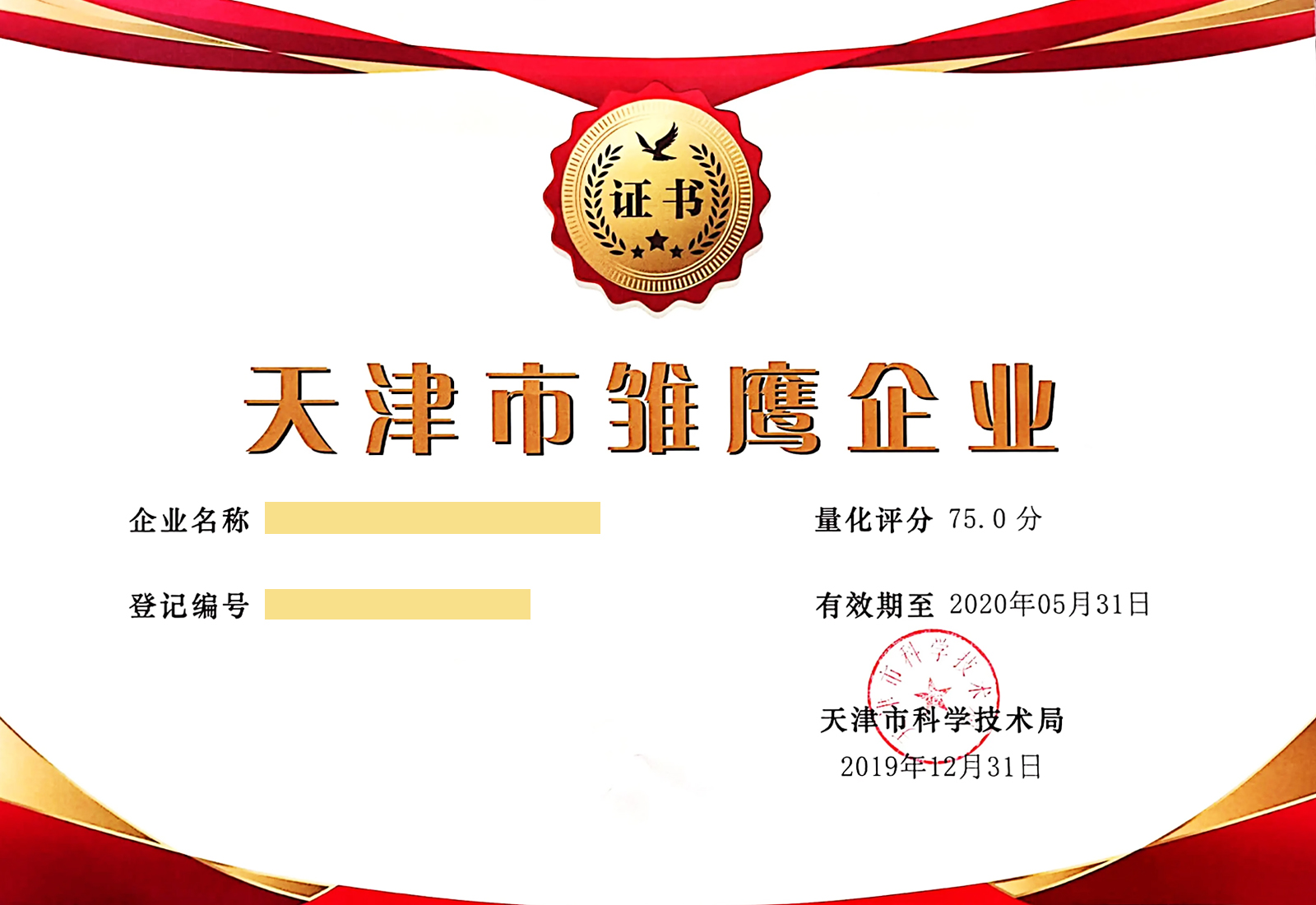 天津市雛鷹企業(yè)證書樣板