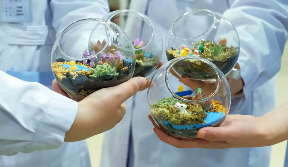 三八婦女節微景觀花藝制作活動