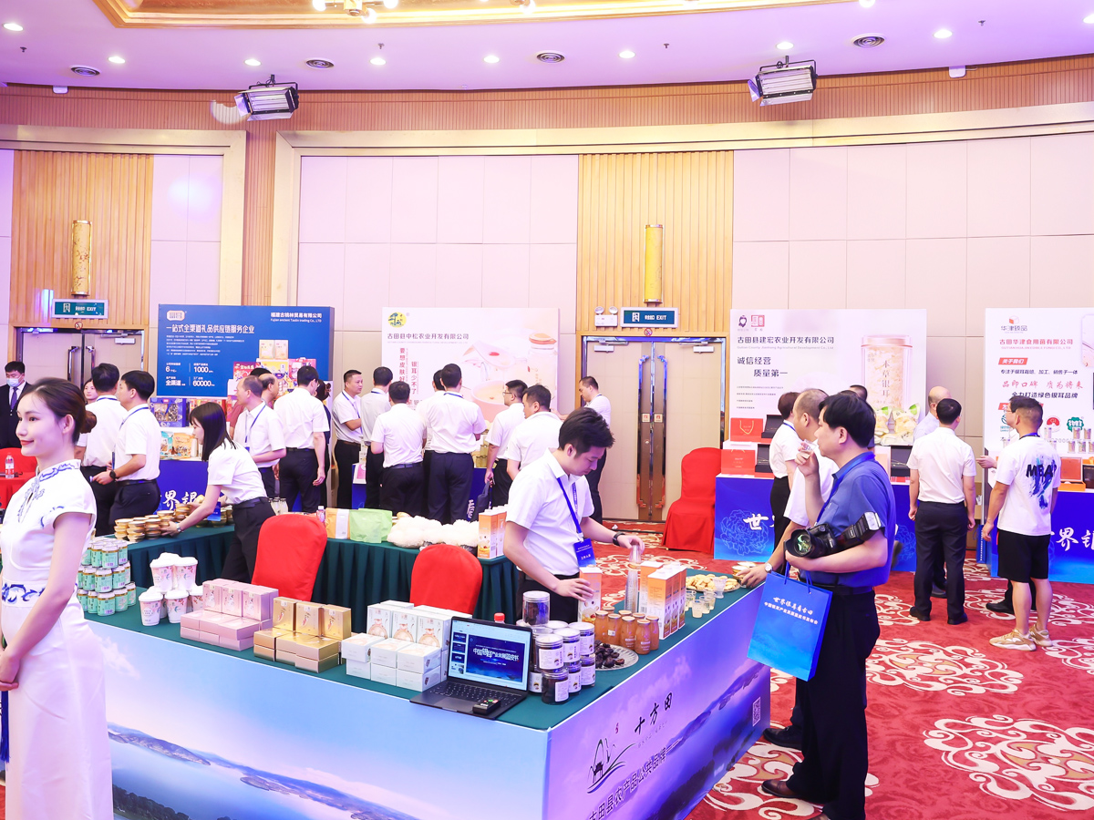 產品發布會體驗區