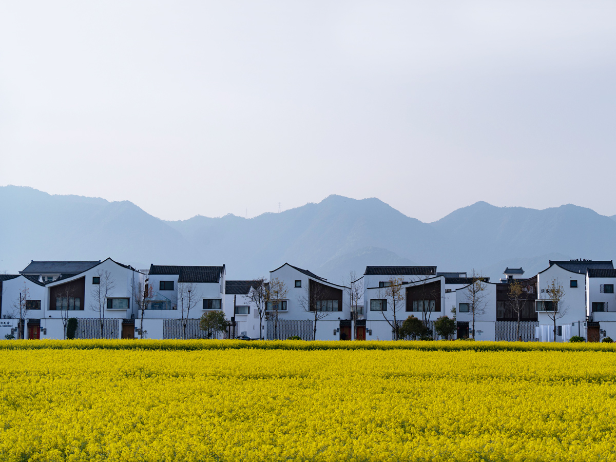 杭州鄉村振興考察點——富陽區場口鎮東梓關村